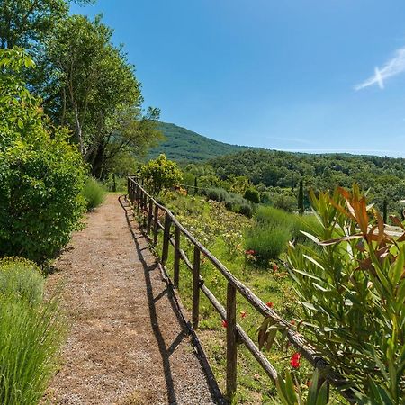 Borgo Fastelli - House In Historical Borgo In Tuscany - Sambuco 萨尔泰阿诺 外观 照片